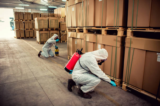 Pest Control Cost in Hawthorne, CA