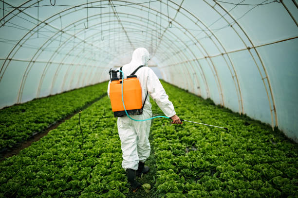 Best Insect Control  in Hawthorne, CA