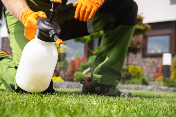 Best Best Pest Control Companies  in Hawthorne, CA