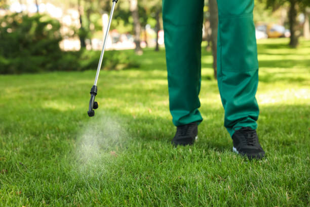 Best Cockroach Control Services  in Hawthorne, CA