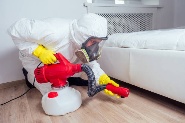 Best Affordable Pest Control Services  in Hawthorne, CA