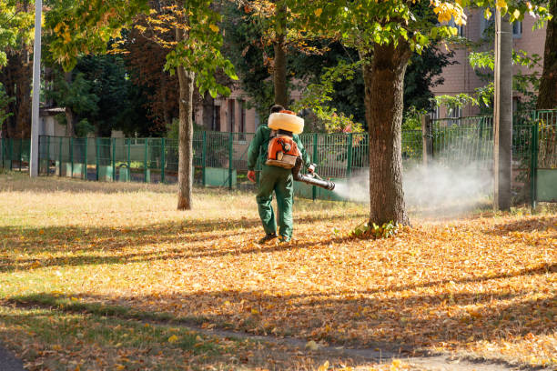 Best Pest Control for Businesses  in Hawthorne, CA