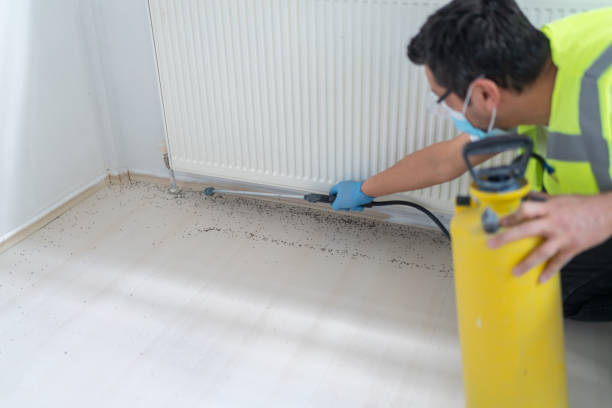 Best Wildlife Control Services  in Hawthorne, CA