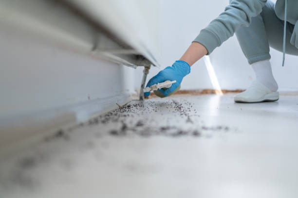Best Residential Pest Control  in Hawthorne, CA