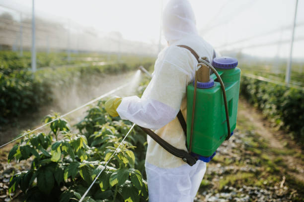 Best Exterminator Services  in Hawthorne, CA